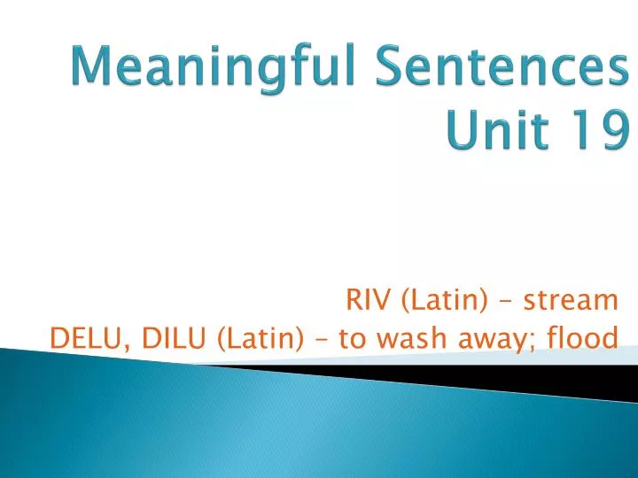 meaningful sentences unit 19