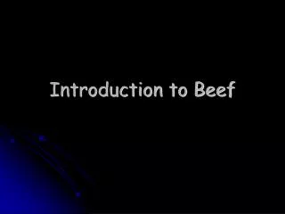 Introduction to Beef
