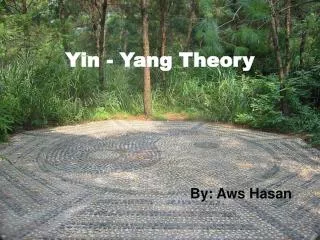 Yin - Yang Theory