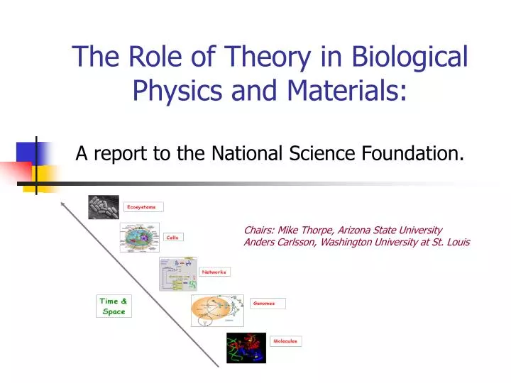 the role of theory in biological physics and materials a report to the national science foundation