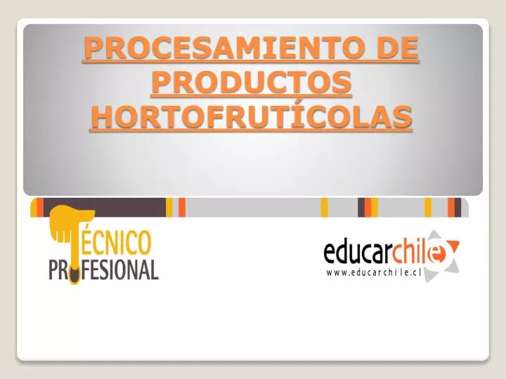 procesamiento de productos hortofrut colas