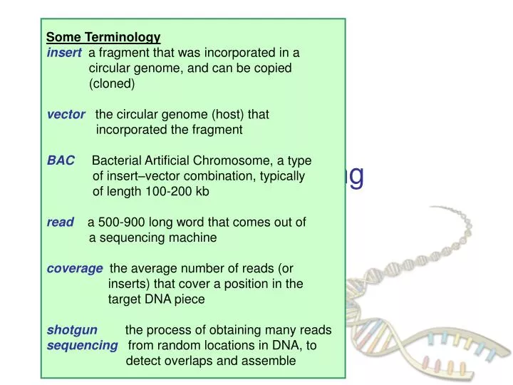 dna sequencing