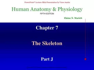 chapter 7