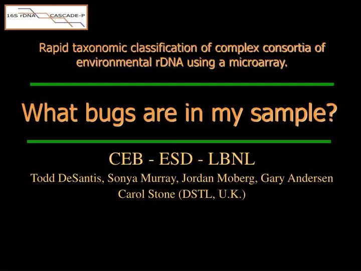 rapid taxonomic classification of complex consortia of environmental rdna using a microarray