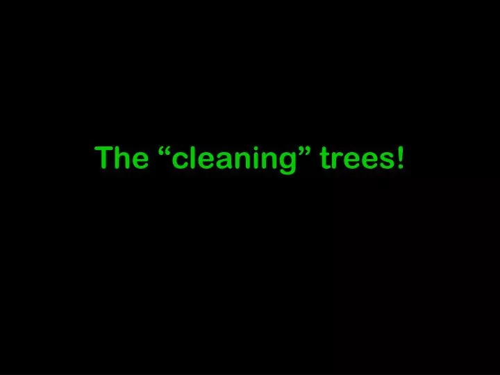 the cleaning trees