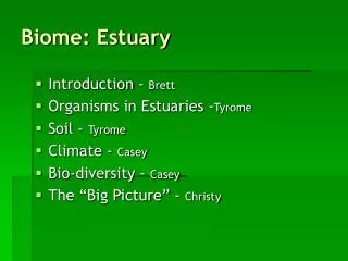 Biome: Estuary