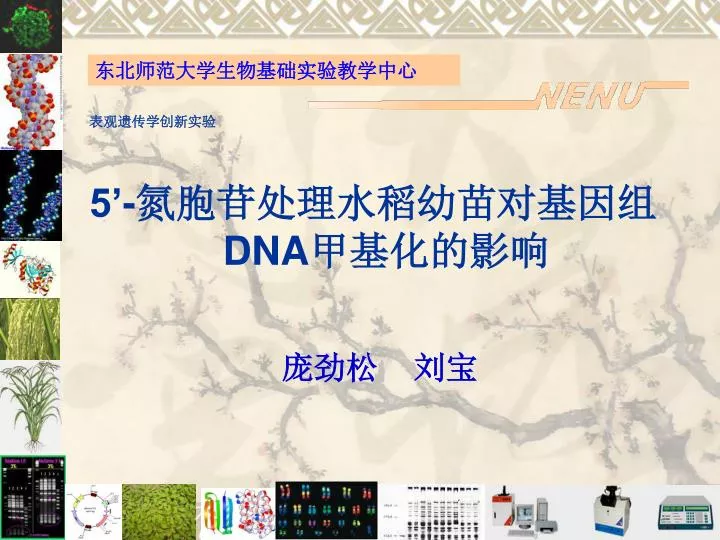 5 dna