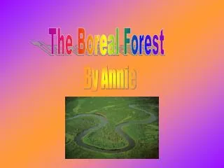 The Boreal Forest