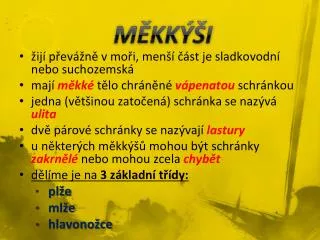 m kk i