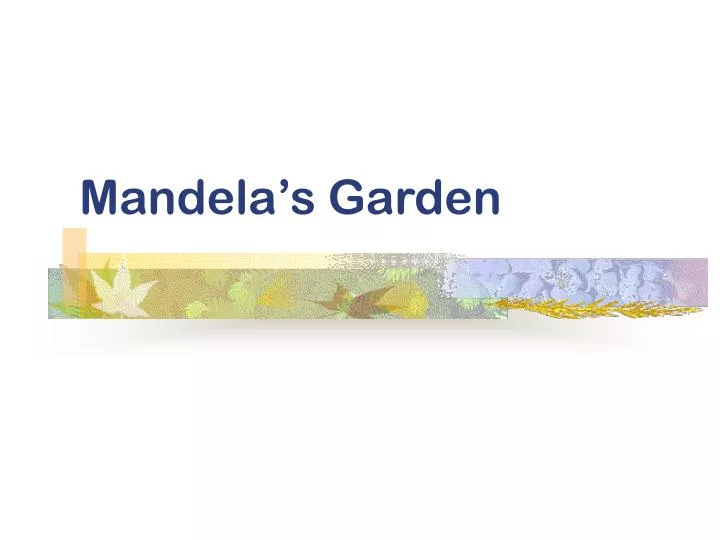 mandela s garden