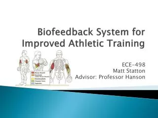 Biofeedback System for Improved Athletic Training