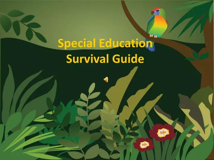 special education survival guide