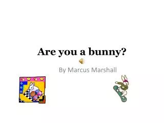 Are you a bunny?