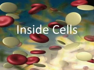 Inside Cells