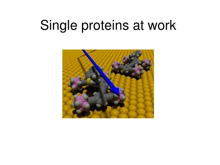 single proteins at work