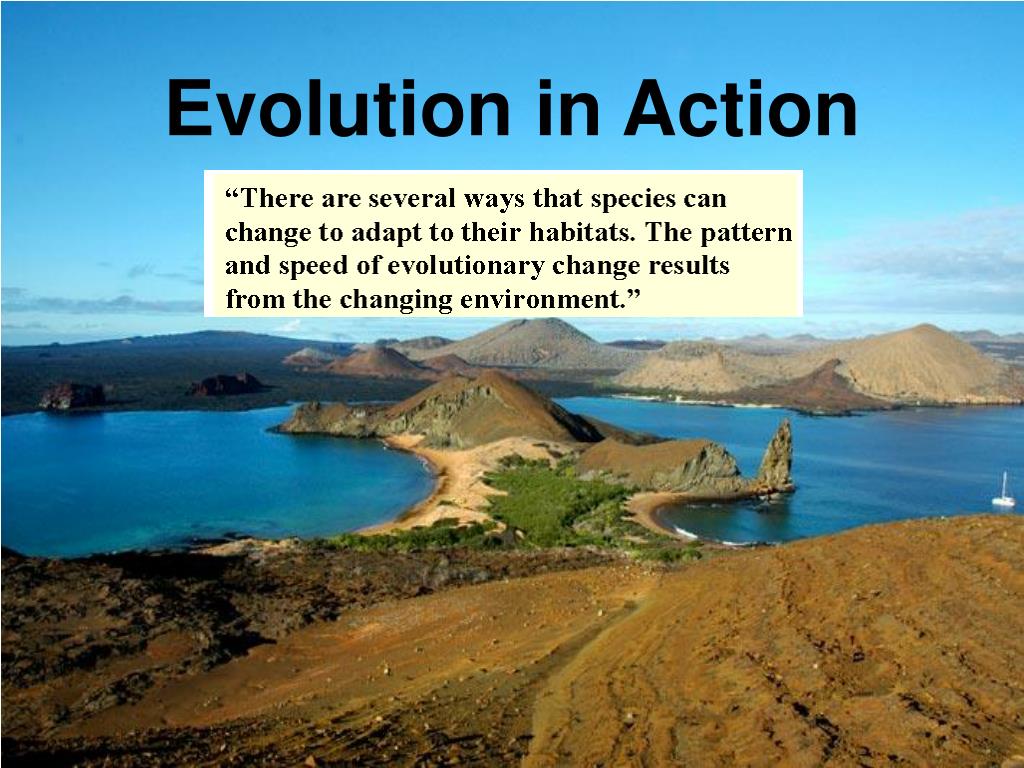 PPT - Evolution in Action PowerPoint Presentation, free download - ID ...