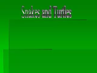 Snakes and Turtles
