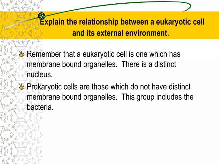 explain the relationship between a eukaryotic cell and its external environment