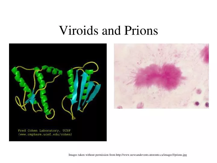 viroids and prions