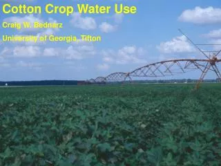 Cotton Crop Water Use Craig W. Bednarz University of Georgia, Tifton