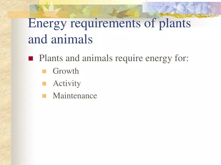 energy requirements of plants and animals