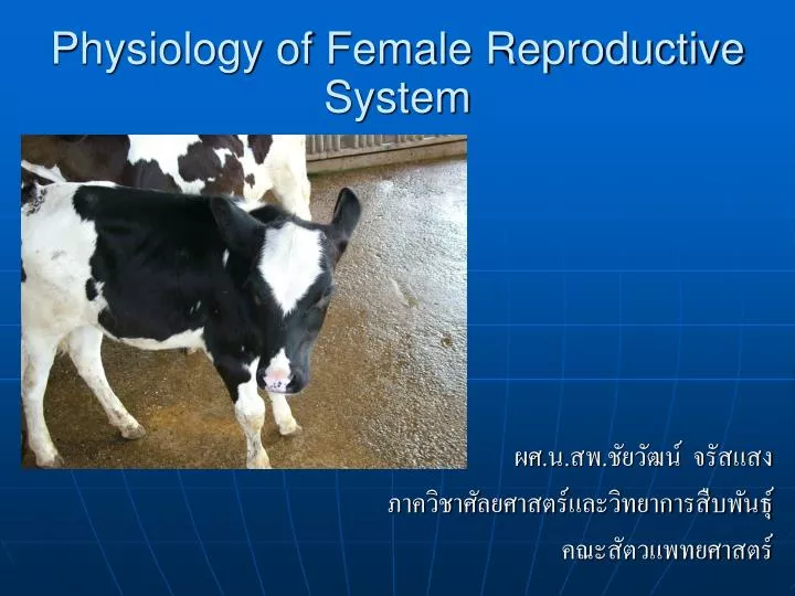 physiology of female reproductive system