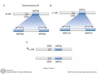 Chapter 3, Figure 1