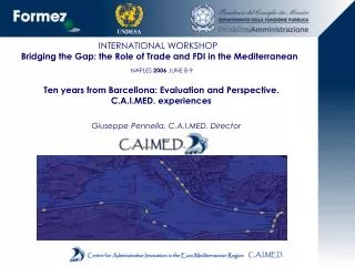 INTERNATIONAL WORKSHOP Bridging the Gap: the Role of Trade and FDI in the Mediterranean