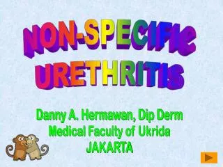 NON-SPECIFIC URETHRITIS