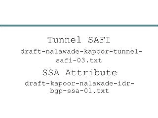Tunnel SAFI draft-nalawade-kapoor-tunnel-safi-03.txt