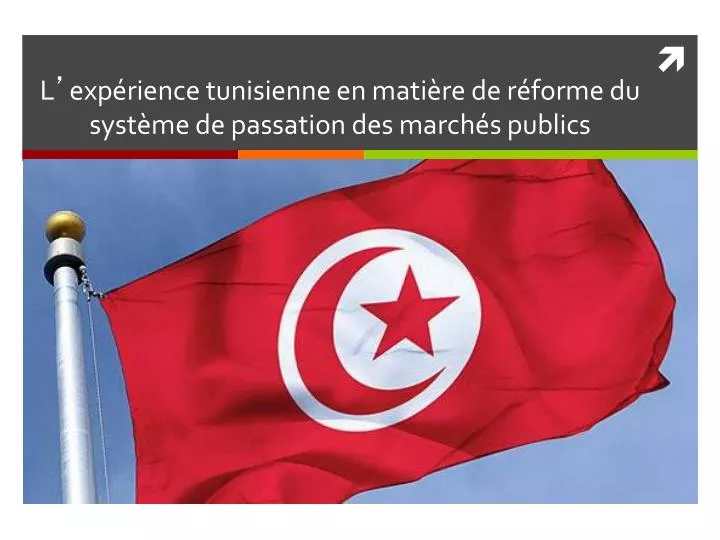l exp rience tunisienne en mati re de r forme du syst me de passation des march s publics
