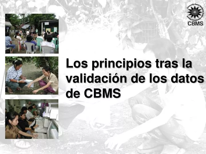 los principios tras la validaci n de los datos de cbms