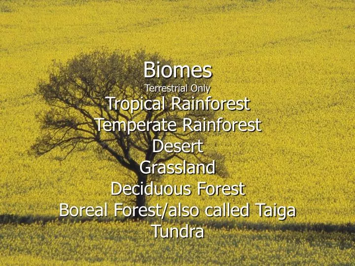 biomes terrestrial only