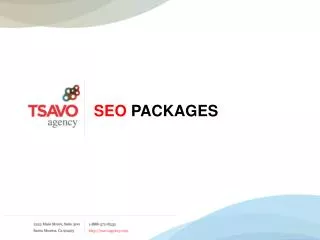 SEO PACKAGES