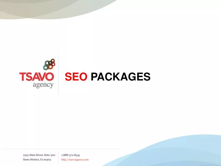 seo packages