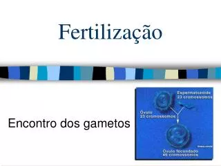 fertiliza o