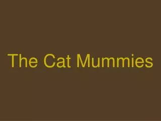 The Cat Mummies