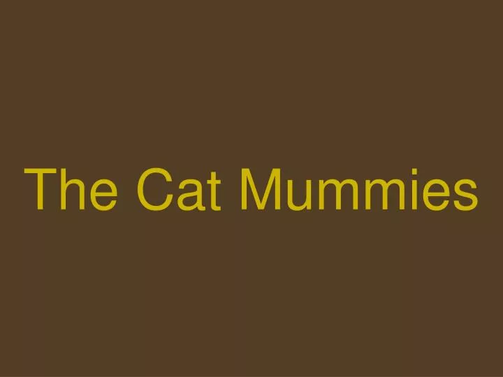 the cat mummies