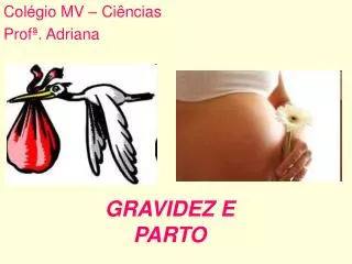 gravidez e parto