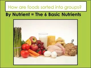 How are foods sorted into groups?
