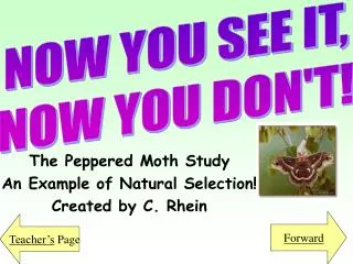 The Peppered Moth Study An Example of Natural Selection! Created by C. Rhein