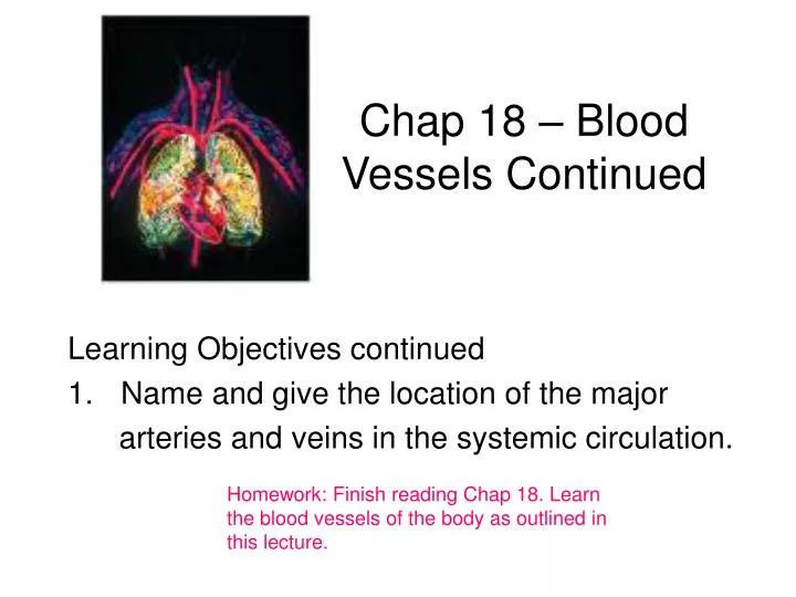 chap 18 blood vessels continued