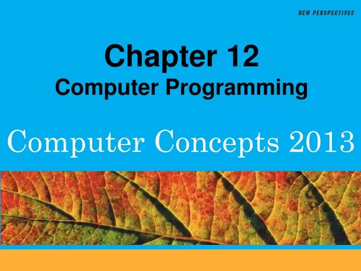 chapter 12 computer programming