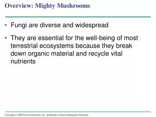 Overview: Mighty Mushrooms