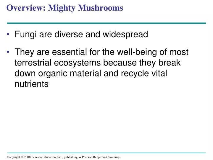 overview mighty mushrooms