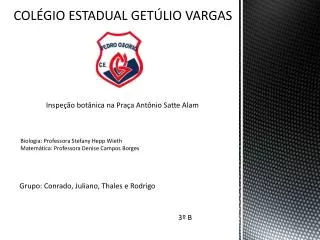 col gio estadual get lio vargas