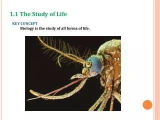 KEY CONCEPT Biology is the study of all forms of life.