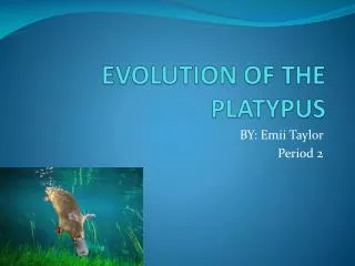 EVOLUTION OF THE PLATYPUS