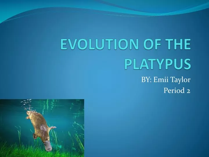 evolution of the platypus