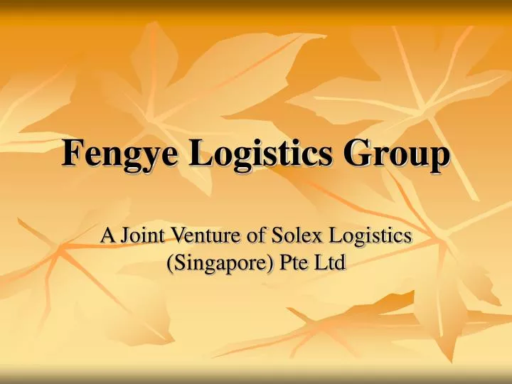 fengye logistics group